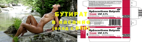 индика Беломорск