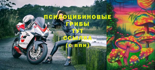 индика Беломорск