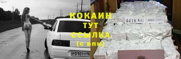 индика Беломорск