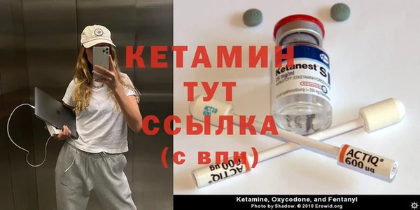 индика Беломорск
