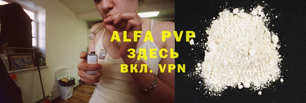 индика Беломорск