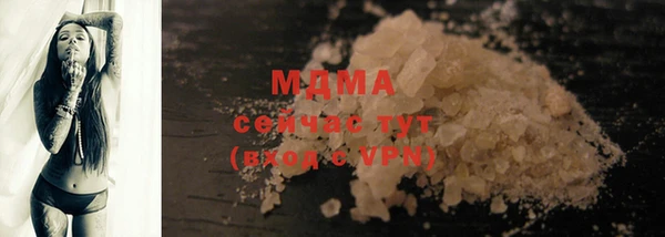 индика Беломорск
