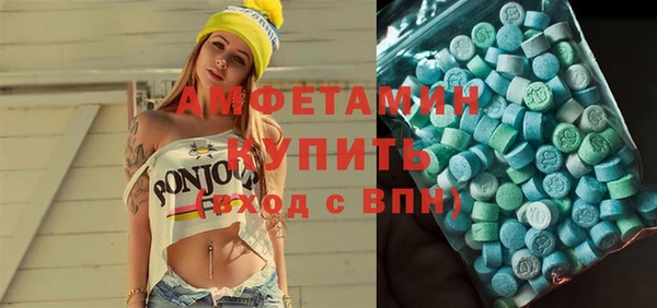 индика Беломорск