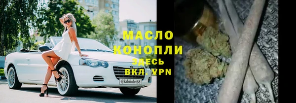 индика Беломорск
